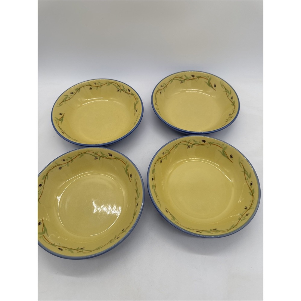 2002 Pfaltzgraff Pistoulet By Jana Kolpen Set Of 4 Soup Cereal Bowls 8"